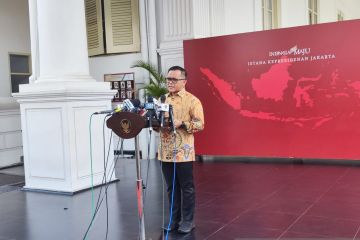 Menteri PANRB: Ina Digital luncurkan 3 layanan terbatas pada bulan ini