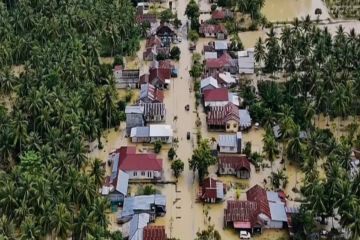 BPBD sebut kondisi pascabanjir Parigi Moutong mulai kondusif