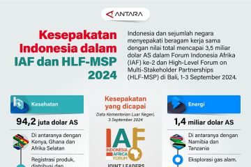 Kesepakatan Indonesia dalam IAF dan HLF-MSP 2024