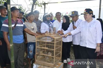 Kementan bantu kelompok tani di Rejang Lebong atasi hama tikus