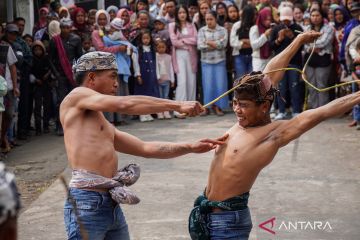 Aksi saling pukul rotan tradisi Ojung Suku Tengger