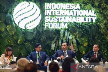 Luhut: Kebijakan energi terbarukan RI tak akan serupa negara lain