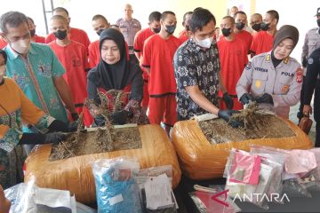 Polda DIY ungkap 3 hektare ladang ganja di Gayo Lues