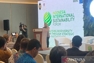 Kemenko Marves: Mangrove berikan dampak lingkungan dan ekonomi