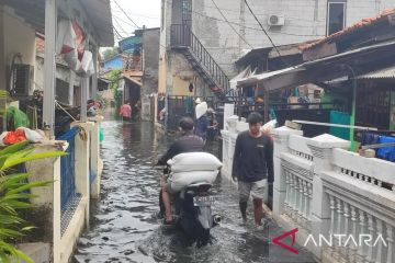 Rumah warga di Lubang Buaya masih terendam banjir 