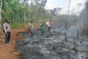 BPBD: Karhutla di Muara Enim Sumsel capai 40 hektare, api sudah padam