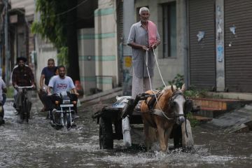 Album Asia: India utara diguyur curah hujan tinggi