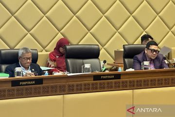 Komisi II DPR sepakati pilkada ulang bila kotak kosong menang