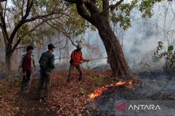 Karhutla di Taman Nasional Baluran Situbondo capai 2,18 hektare