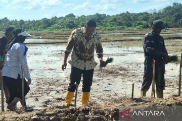 Kementan siapkan program cetak sawah jelang transisi pemerintahan