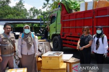 Karantina Kaltim tahan dan musnahkan 578 kg daging babi ilegal