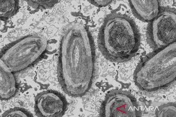 AS tidak berencana terapkan pembatasan pelancong Afrika terkait mpox