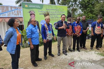 Bank Indonesia: Butuh sinergi kembangkan komoditas unggulan Papua