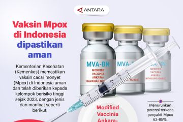 Vaksin Mpox di Indonesia dipastikan aman