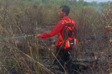 Karhutla di Penajam Paser Utara berhasil padam, satu hektare terbakar