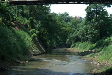 22 September Hari Sungai Sedunia, simak sejarahnya