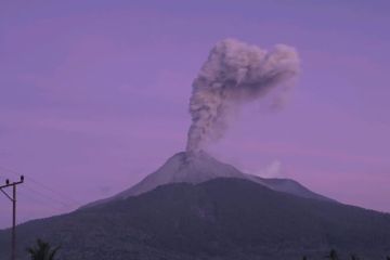 Gunung Lewotobi Laki-Laki di Flores kembali erupsi setinggi 700 meter