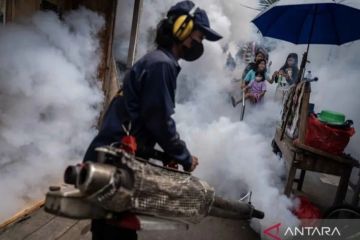 Orang tua asuh nyamuk ber-Wolbachia harus jaga ember berisi telur