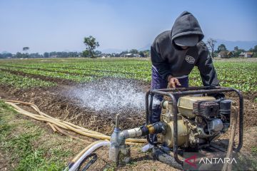 Program pompanisasi atasi kekeringan lahan tadah hujan