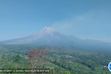 Gunung Semeru erupsi hingga sembilan kali pada Jumat pagi