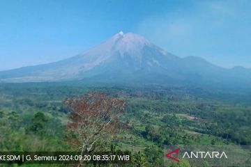 Gunung Semeru erupsi hingga sembilan kali pada Jumat pagi