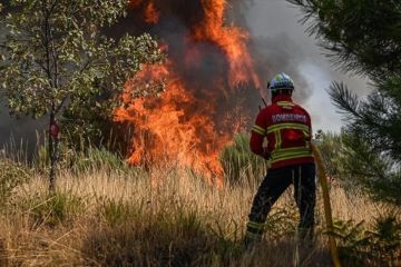 Portugal umumkan hari berkabung nasional hormati korban kebakaran