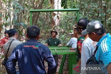 BKSDA pasang umpan perangkap harimau di Kabupaten Bengkulu Utara