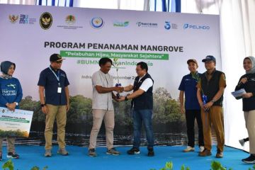 Pelindo gelar program rehabilitasi mangrove 2024 lestarikan lingkungan