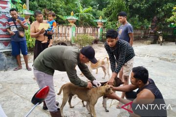 Ratusan anjing di OKU Timur diberi vaksin anti rabies