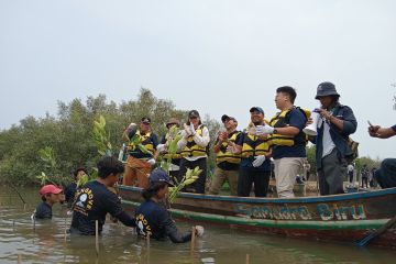 FishLog menanam 5.000 mangrove di Muara Gembong lewat Catalytic Fund