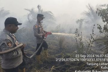 Seluas 25 Hektare lahan terbakar di Rokan Hilir Riau