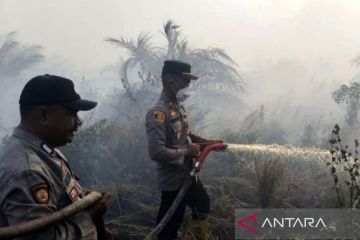 Seluas 25 Hektare lahan terbakar di Rokan Hilir Riau