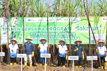 Program Makmur Petrokimia Gresik libatkan 166.000 petani