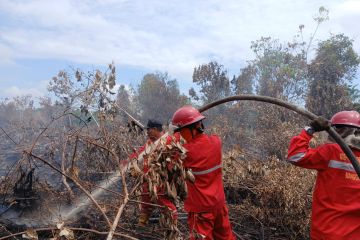 KLHK pastikan kebakaran hutan dan lahan terkendali pada tahun ini