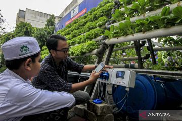 Santri belajar budi daya sayuran hidroponik berbasis IOT