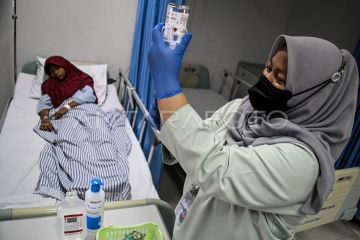 Ikhtiar DKI lepas nyamuk berwolbachia demi akhiri ancaman DBD