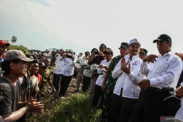 Pengamat: Kelanjutan program food estate harus dirancang secara matang