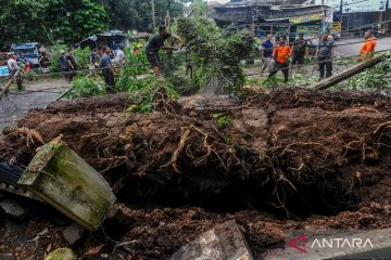 Bencana angin kencang di Lebak menyebabkan sejumlah bangunan rusak