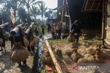 Masyarakat adat Kasepuhan Cisungsang gelar tradisi Seren Taun sebagai ungkapan rasa syukur atas panen yang berlimpah