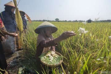 Ketahanan pangan dan alternatif pembiayaan berkelanjutan