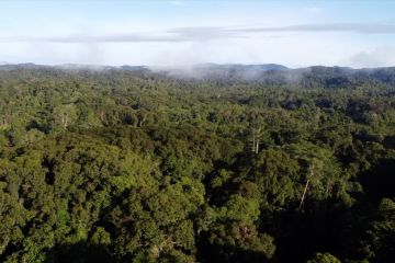 KLHK dorong pengelolaan hutan berkualitas berbasis lanskap di Kalbar