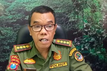 BKSDA tangani kasus penjualan satwa milik negara