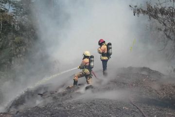 Damkar Temanggung berjibaku padamkan api kebakaran limbah kayu