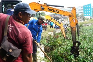 Gotong royong bersihkan eceng gondok di sungai Pekalongan