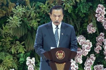 Luhut: Indonesia jadi contoh negara berkembang pimpin keberlanjutan