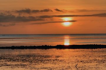 Menyusuri jejak penyu hingga Liang Kuri-Kuri di Desa Kulati, Wakatobi