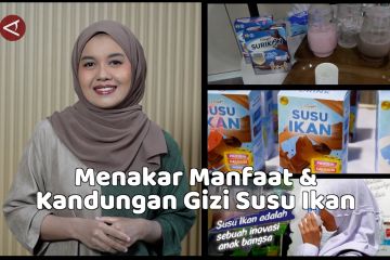 Menakar manfaat & kandungan gizi susu ikan