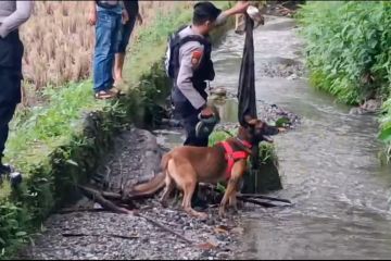 Polisi kantongi identitas terduga pelaku pembunuh Nia