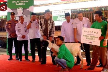 BAZNAS luncurkan Balai Ternak dan Rumah Kompos di Jember