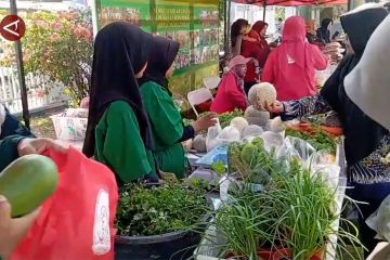 Gebyar Pasar Tani promosikan hasil pertanian dan perikanan di Palu